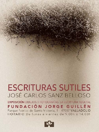 ESCRITURAS SUTILES. José Carlos Sanz Belloso. Exposición.